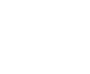 Evolution games at Whitelion Bets Casino